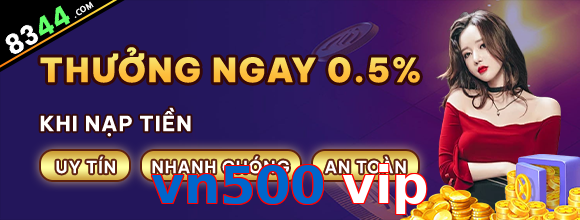 vn500 vip